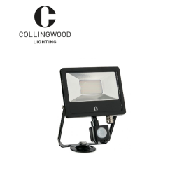 Collingwood 30W colour switchable floodlight