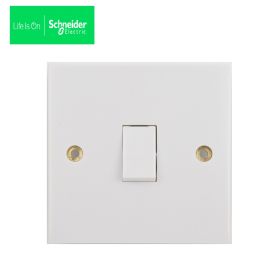 Schneider 1 Gang 2 pole switch with flex outlet White -GSWDP20AFO